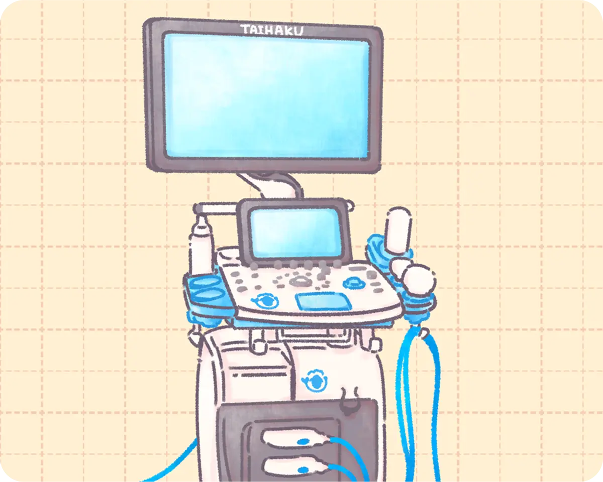 超音波（エコー）検査