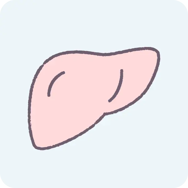 肝臓内科のアイコン